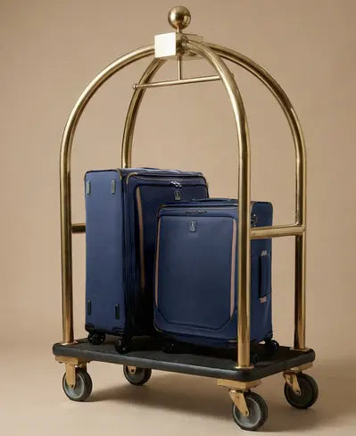 Checked Luggage